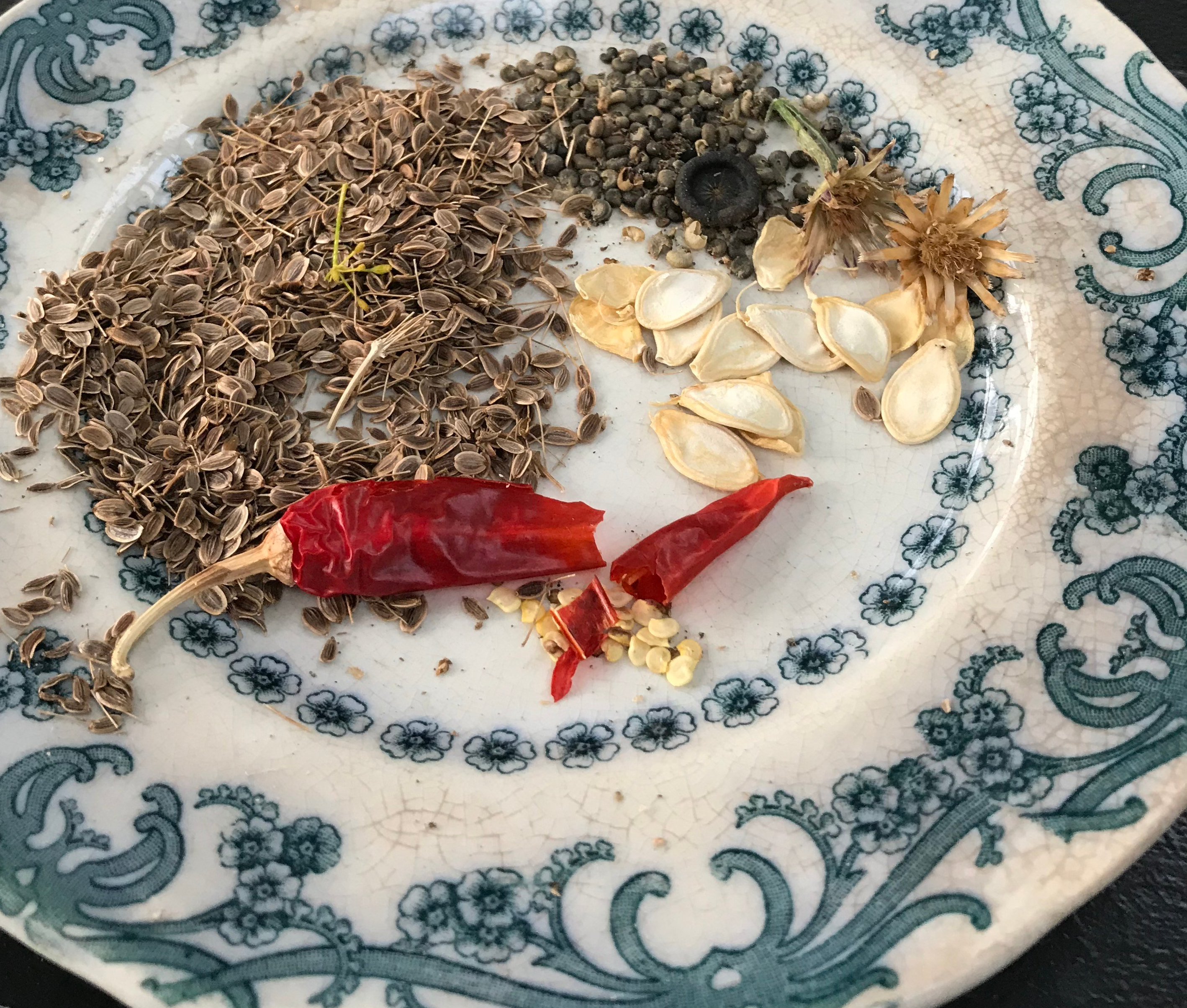 kXv8YorUTomR12cnUui5iw